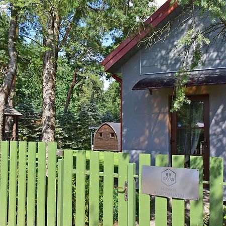 Medaus Apartamentai Trakai Luaran gambar