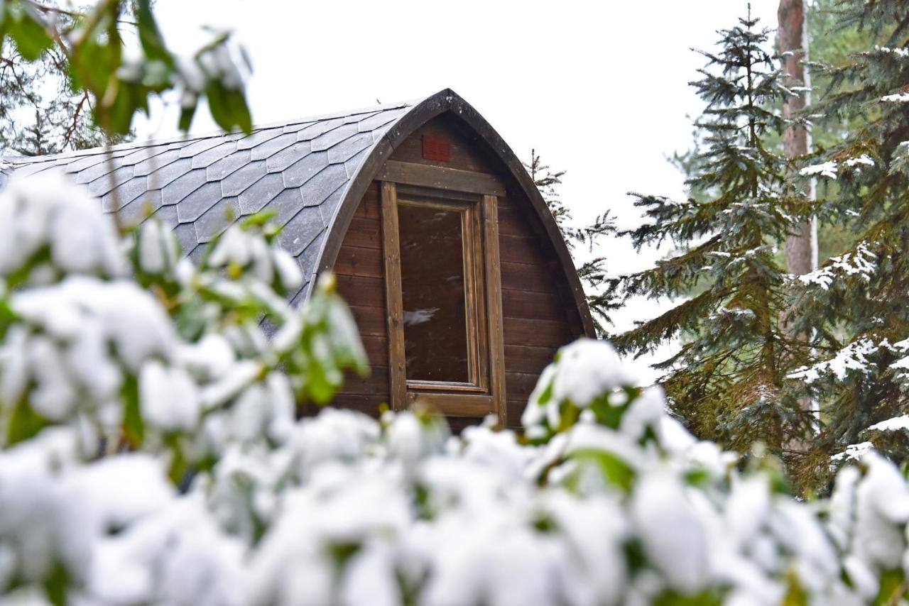 Medaus Apartamentai Trakai Luaran gambar
