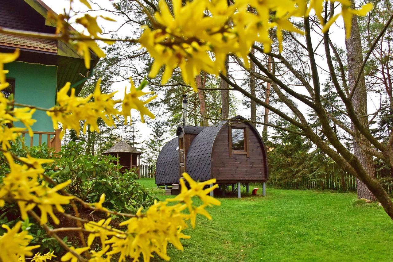 Medaus Apartamentai Trakai Luaran gambar