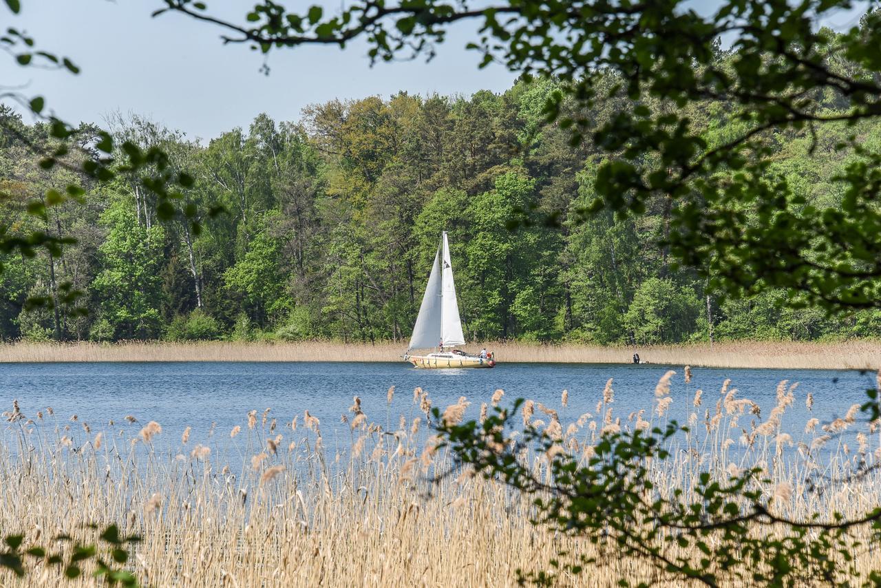 Medaus Apartamentai Trakai Luaran gambar